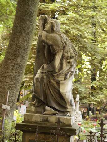 spis.php?category_id=113