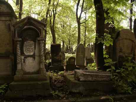 spis.php?category_id=117