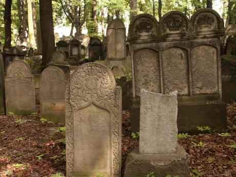 spis.php?category_id=117