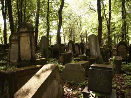 spis.php?category_id=117