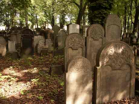 spis.php?category_id=117